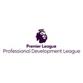 Inggris: Liga Pengembangan Professional