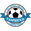 Tammeka U21 logo