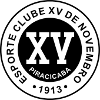 Piracicaba U20 logo