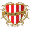 Brozany logo