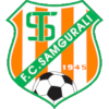 Samgurali logo