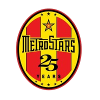 North Eastern MetroStars Reserve logo
