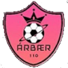 Arbaer logo